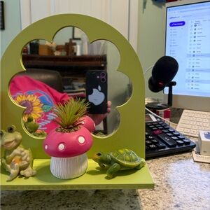 Green Mirror with Pink Mushroom frog and turtle Decor
